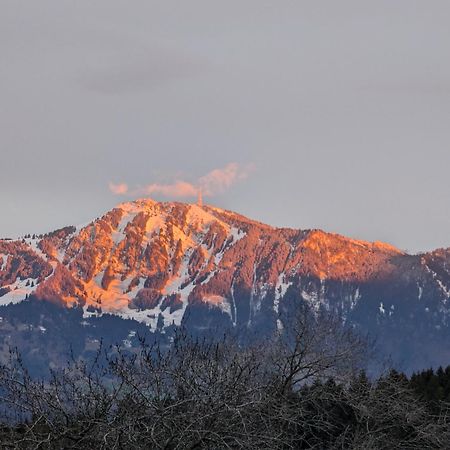 Hotel Bergstaetter Hof Immenstadt im Allgäu Εξωτερικό φωτογραφία