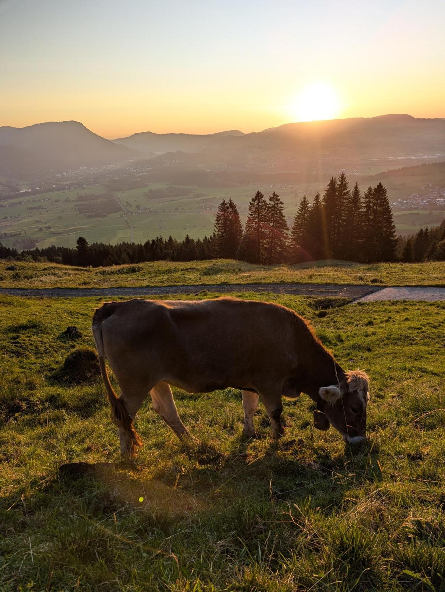 Hotel Bergstaetter Hof Immenstadt im Allgäu Εξωτερικό φωτογραφία