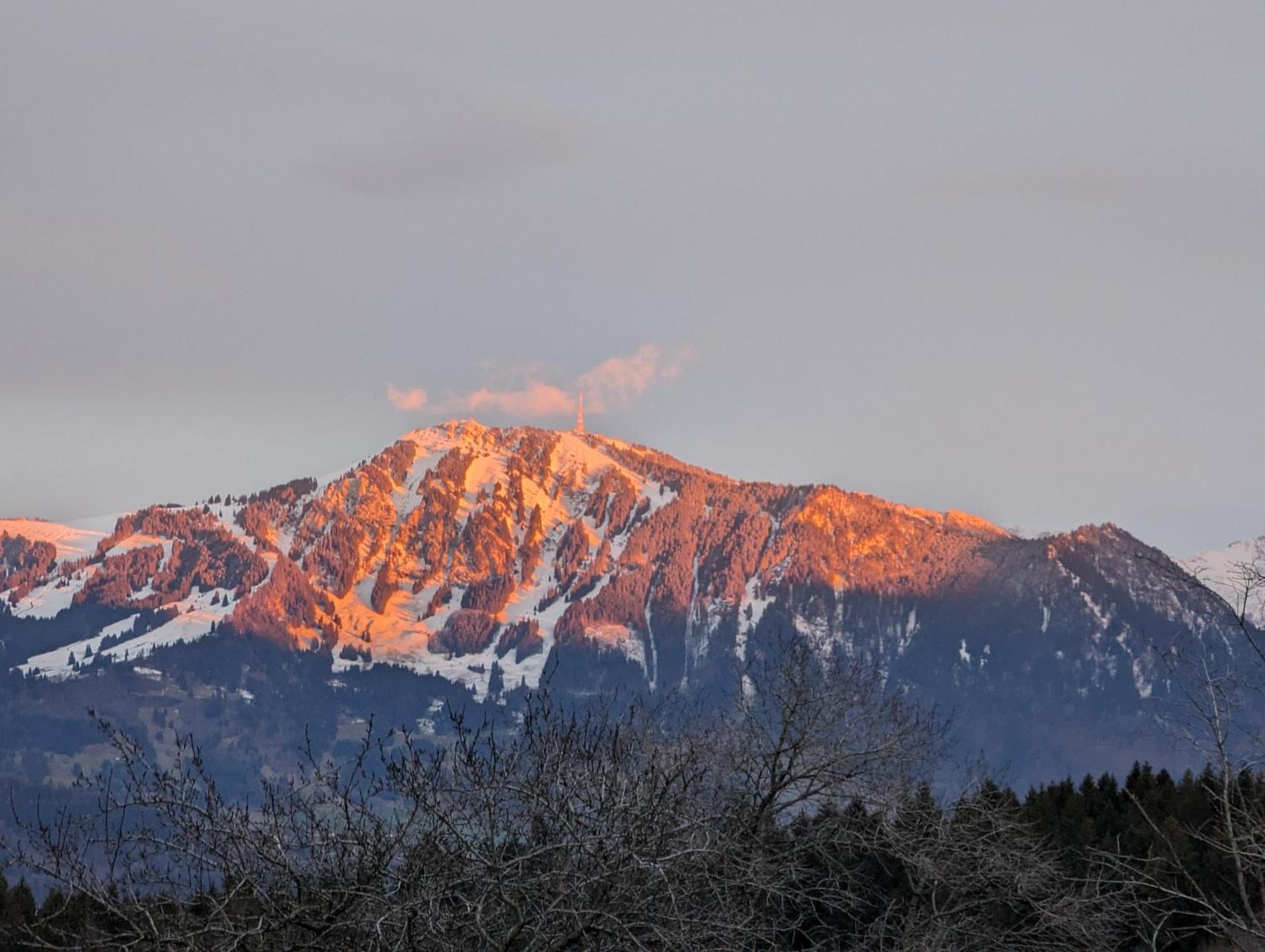 Hotel Bergstaetter Hof Immenstadt im Allgäu Εξωτερικό φωτογραφία